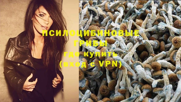 дживик Заволжье